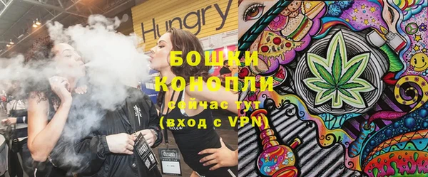 спиды Богородицк