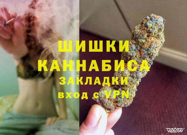 мдпв Богданович