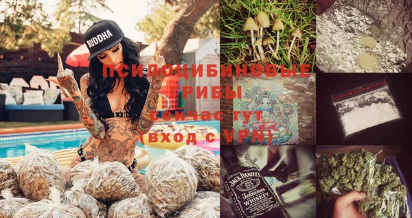 спиды Богородицк