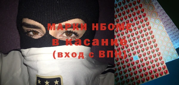 спиды Богородицк