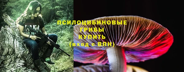 гидропоника Богородск