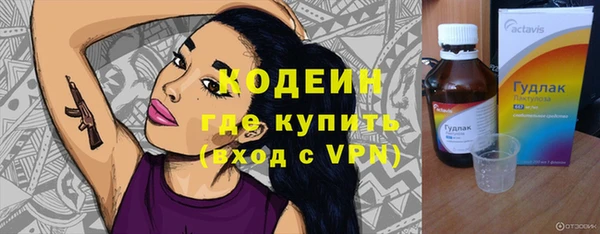спиды Богородицк