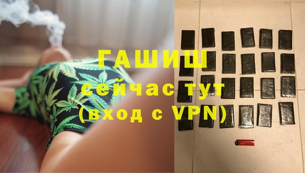 спиды Богородицк